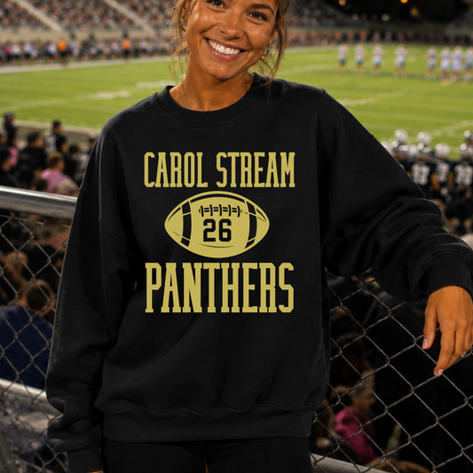 Football 26 Panthers