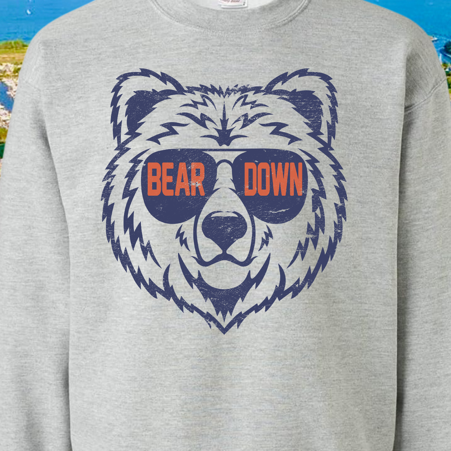 Bear Down Aviators Crewneck