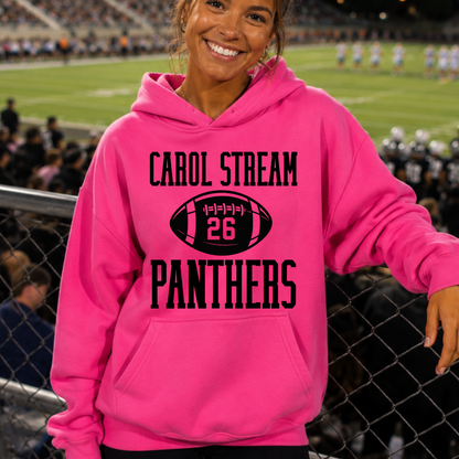 Football 26 Panthers