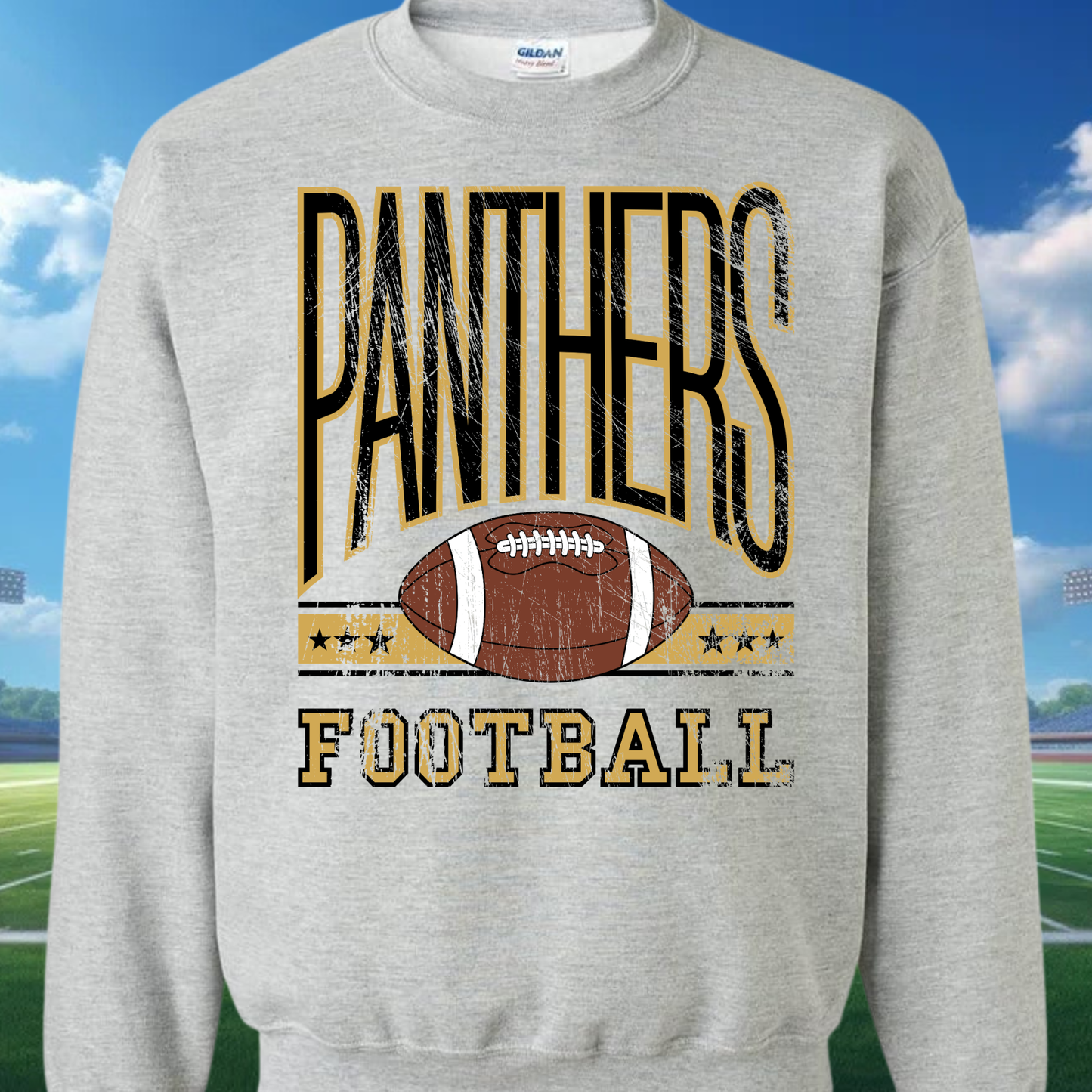 Vintage Panthers Football