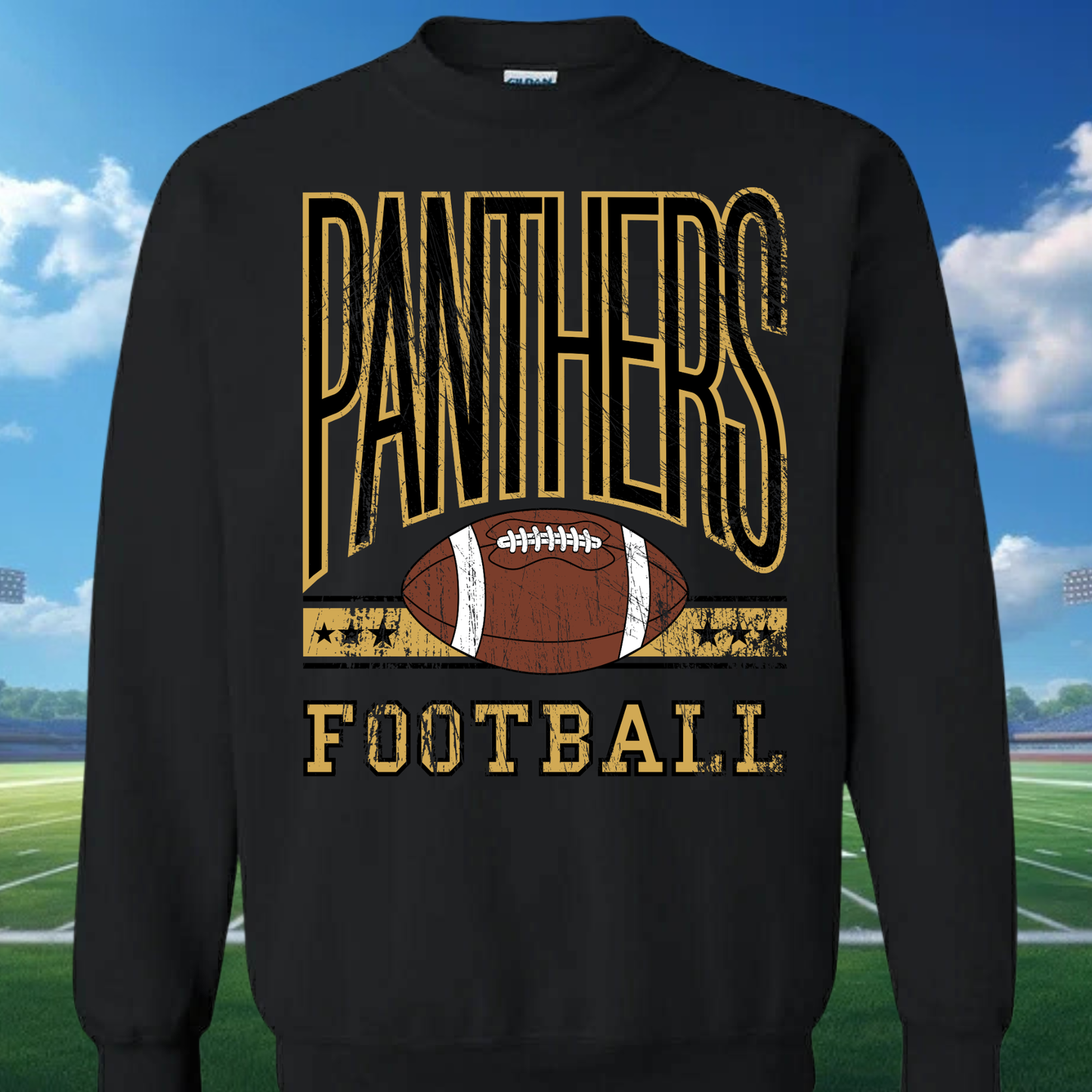 Vintage Panthers Football