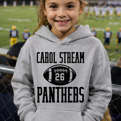 Football 26 Panthers